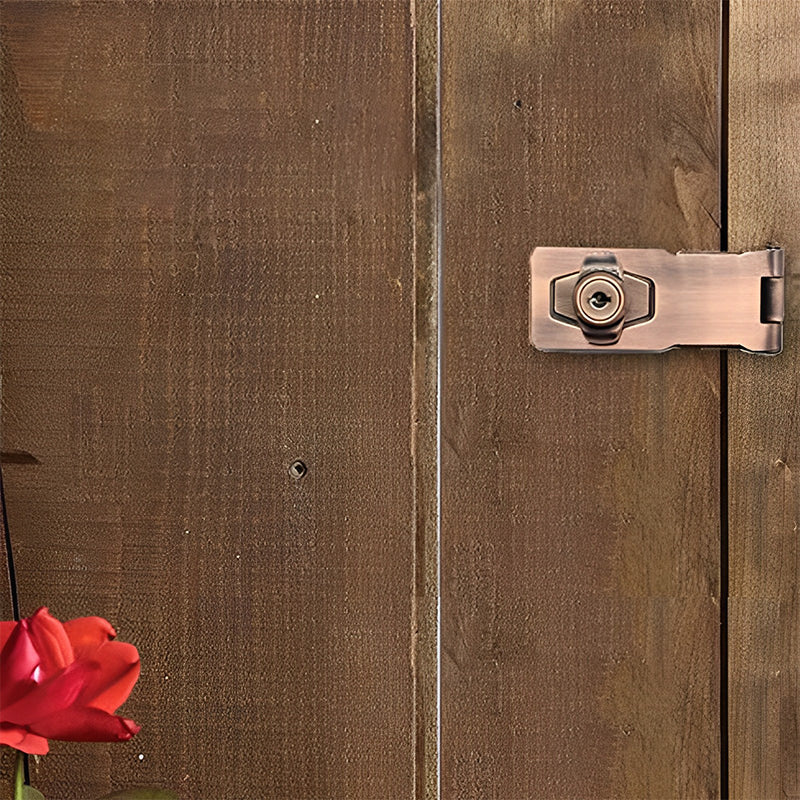 Cabinet Lock - Door Lock with Hinge Bolt and 2 Keys