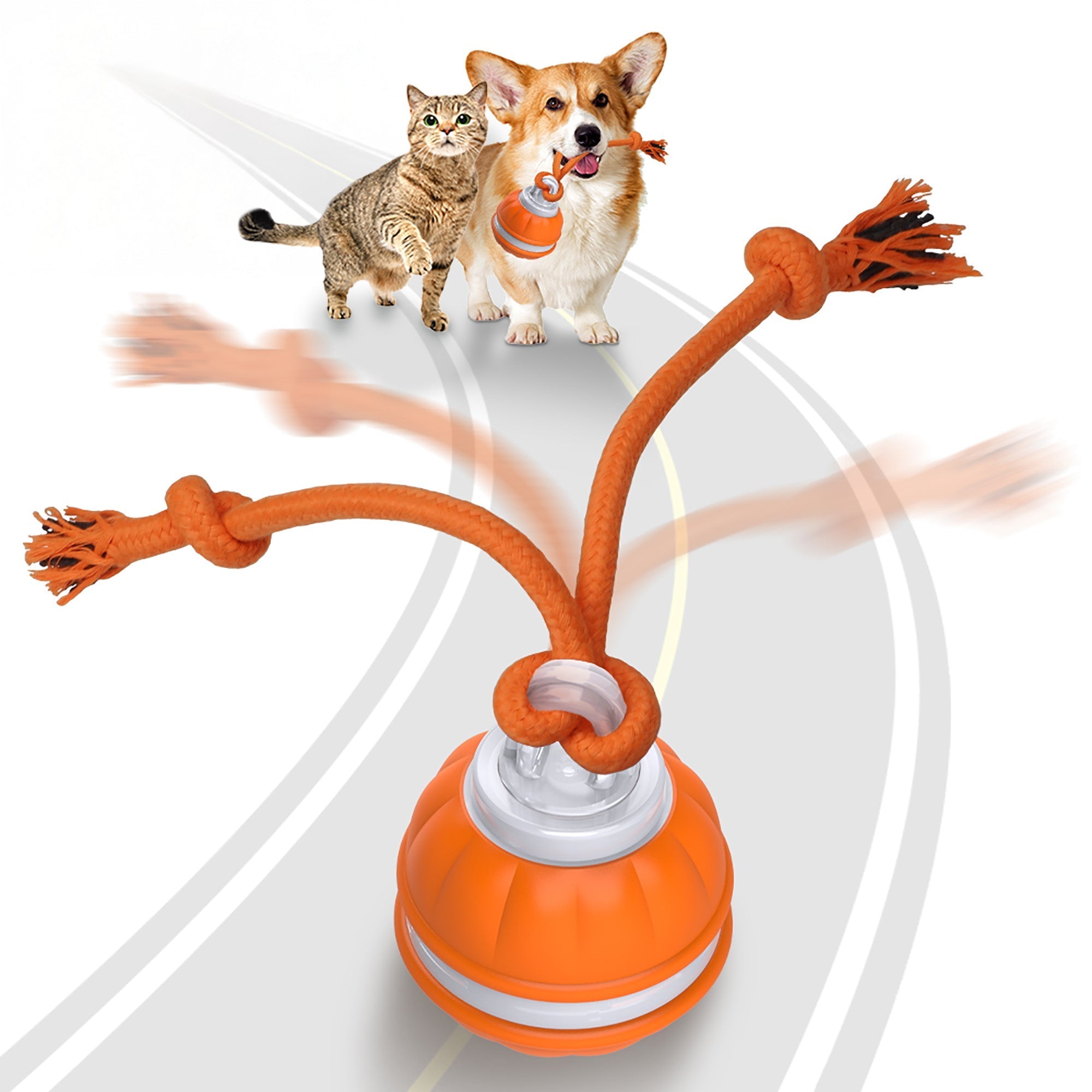RopeBall - Funny Motion-Activated Dog Ball
