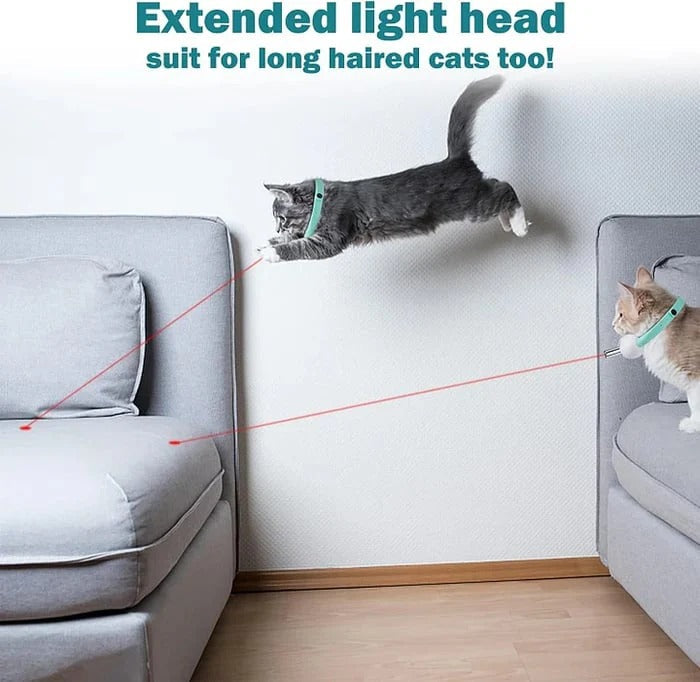 Automatic Cat Laser Collar