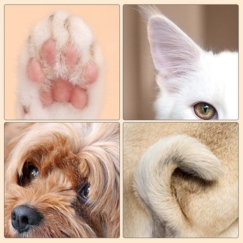 Paw Trimmer - Precision Trimmer – Transform grooming into relaxed, quick, and confident moments