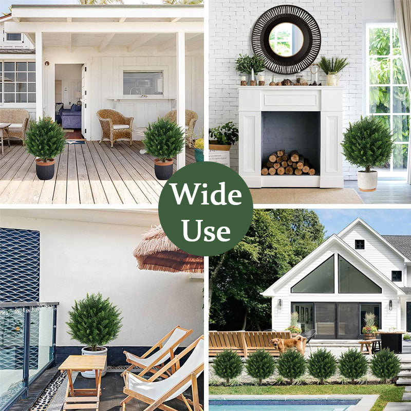 Cedar Bush - Lifelike Landscape Shrub