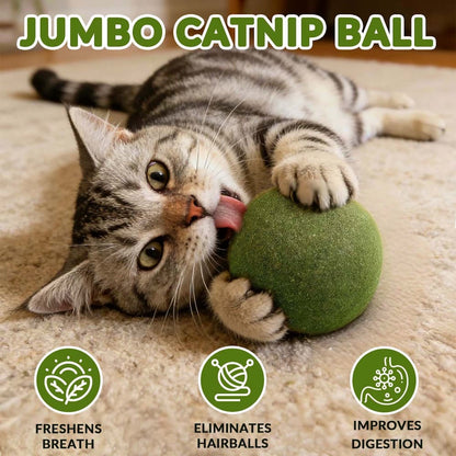 Giant Catnip Ball