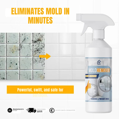 MoldBlast - Quickly remove mold for a safer, fresher home