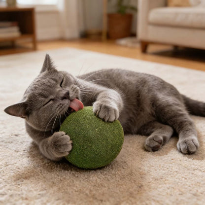 Giant Catnip Ball