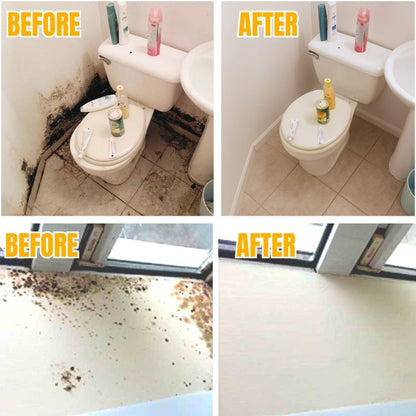 MoldBlast - Quickly remove mold for a safer, fresher home