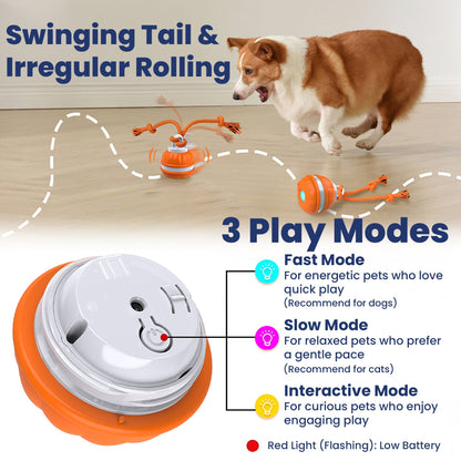 RopeBall - Funny Motion-Activated Dog Ball