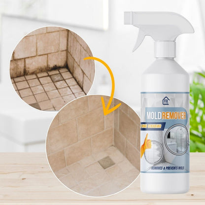 MoldBlast - Quickly remove mold for a safer, fresher home
