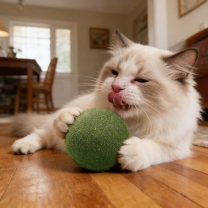 Giant Catnip Ball