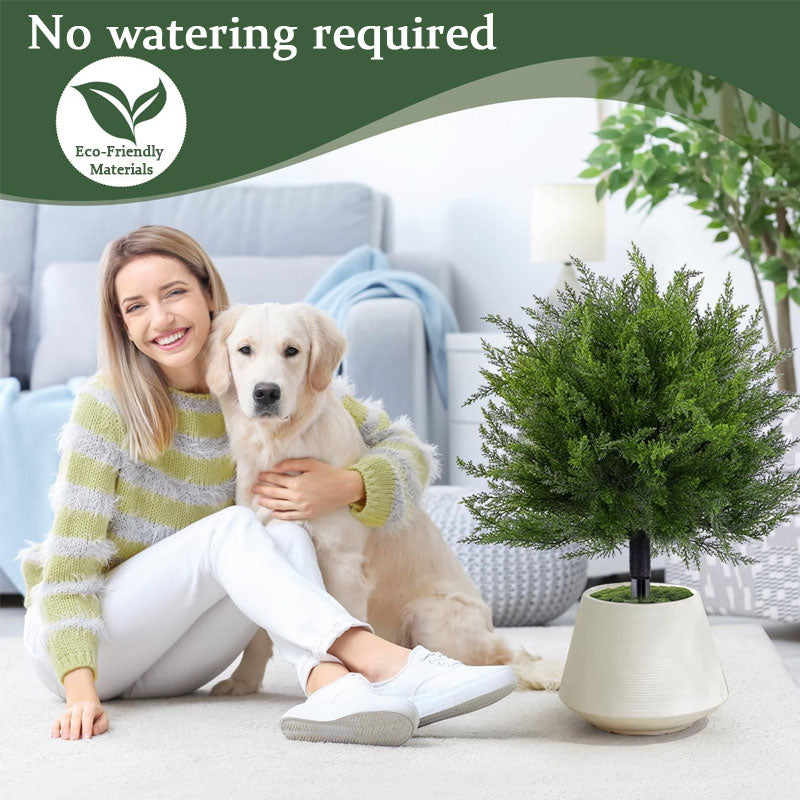 Cedar Bush - Lifelike Landscape Shrub