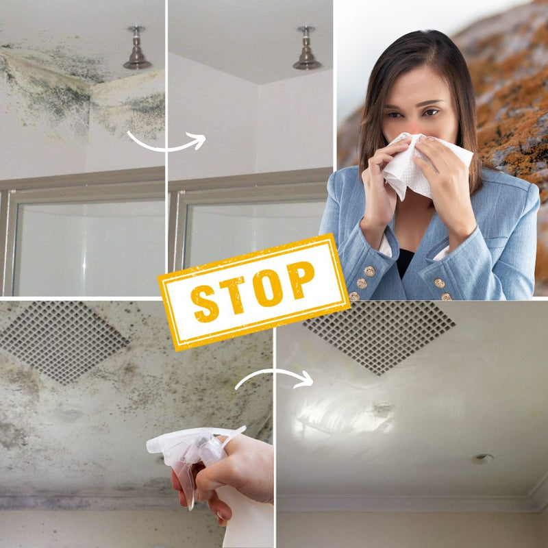 MoldBlast - Quickly remove mold for a safer, fresher home