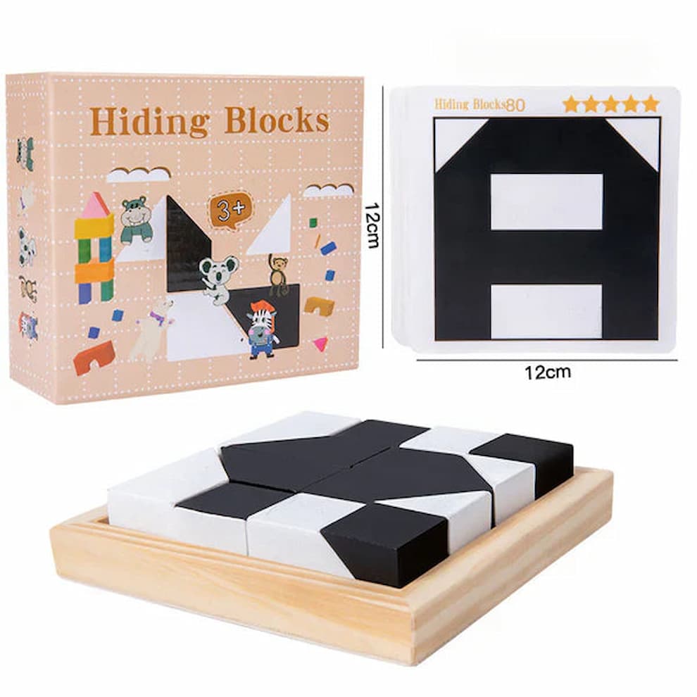 BlockMatch - Learning Toy Puzzle Set