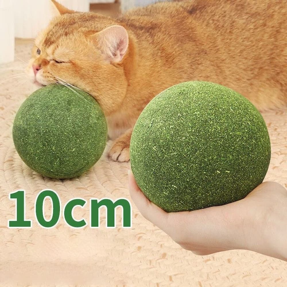 Giant Catnip Ball